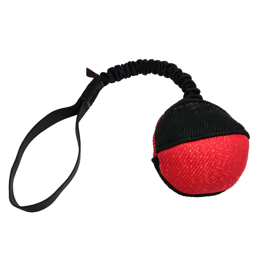 Bite Suit Reward Ball With Bungee Handle