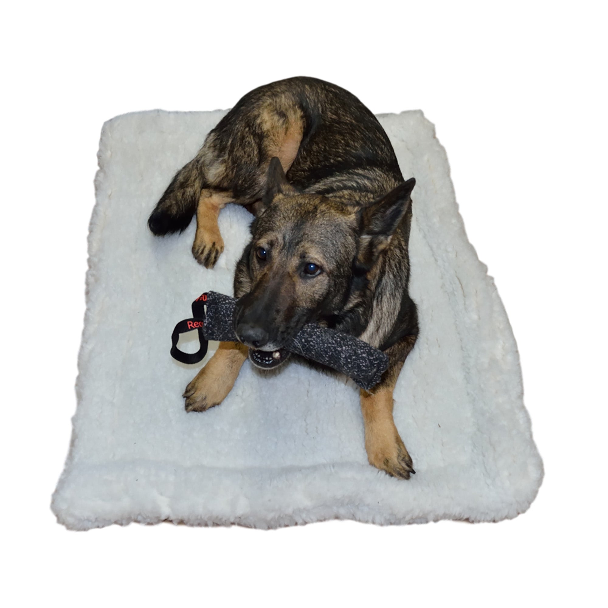 Dog kennel pad best sale